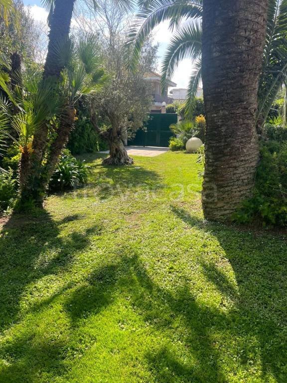 casa indipendente in affitto a Fiumicino in zona Fregene