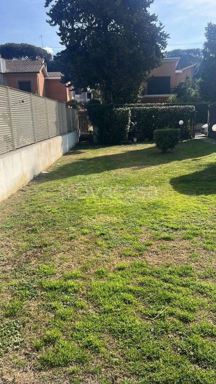 casa indipendente in affitto a Fiumicino in zona Fregene