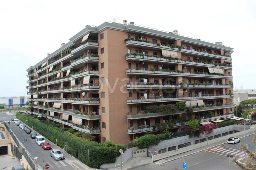 appartamento in affitto a Fiumicino