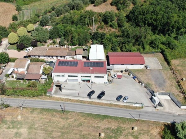 negozio in affitto a Fiumicino in zona Testa di Lepre