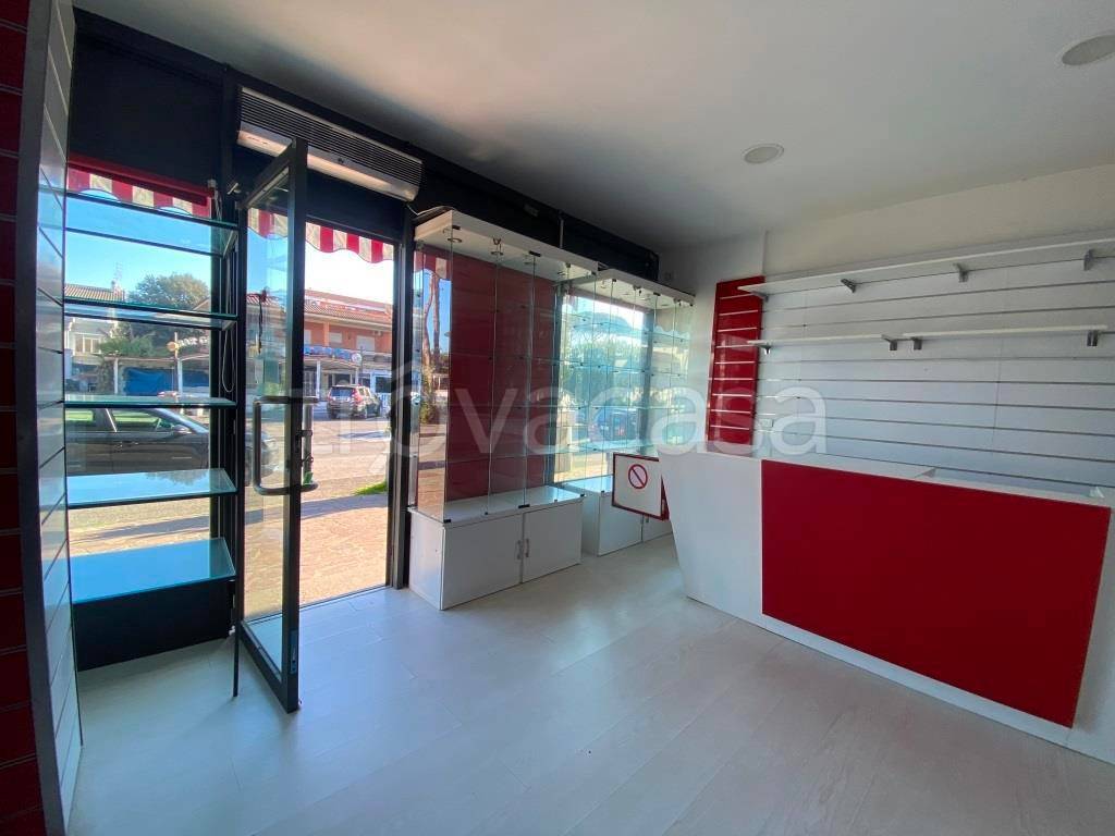 negozio in affitto a Fiumicino in zona Fregene
