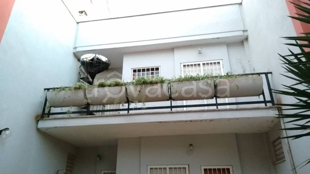 casa indipendente in affitto a Fiumicino in zona Fregene