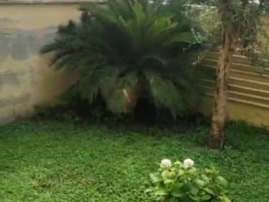 appartamento in affitto a Fiumicino in zona Fregene