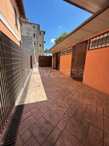 negozio in affitto a Fiumicino in zona Maccarese