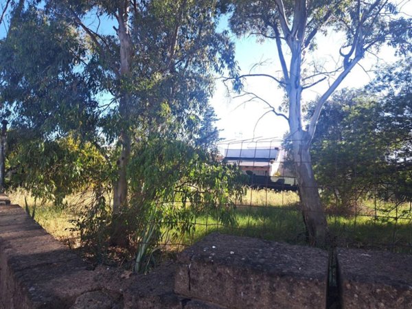 locale di sgombero in affitto a Fiumicino in zona Isola Sacra