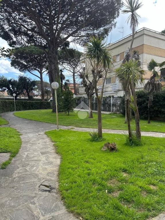 appartamento in affitto a Fiumicino in zona Fregene