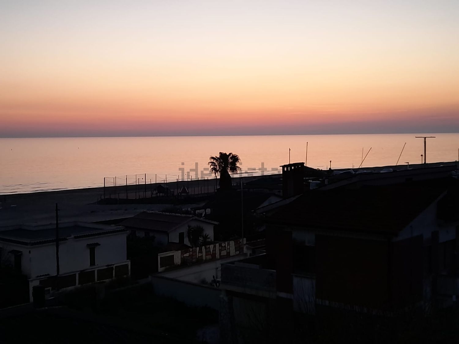 appartamento in affitto a Fiumicino