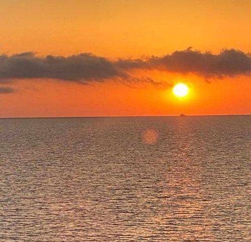 casa indipendente in affitto a Fiumicino in zona Maccarese