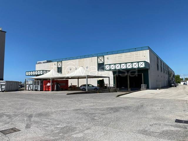 capannone in affitto a Fiumicino