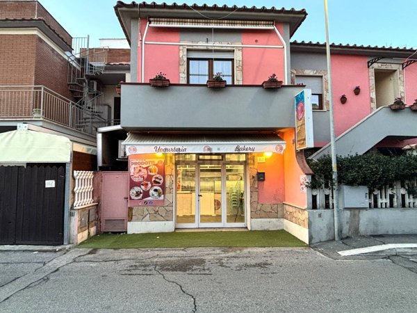 casa indipendente in affitto a Fiumicino