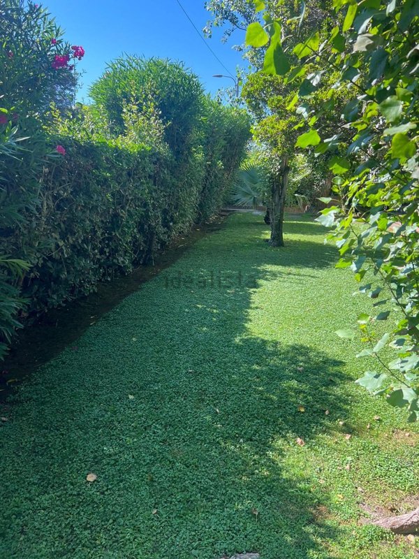 casa indipendente in affitto a Fiumicino in zona Fregene