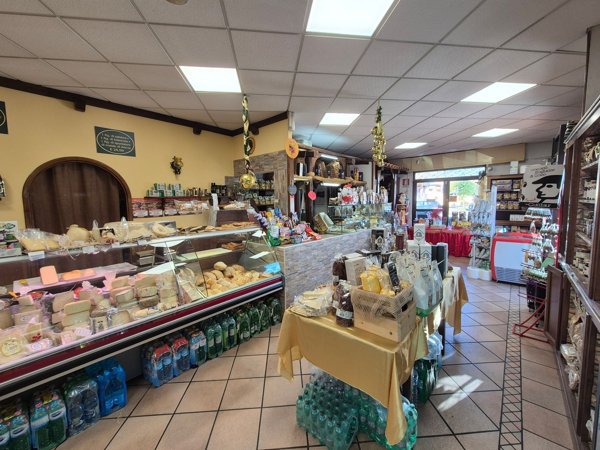 immagine annuncio 0 di 6