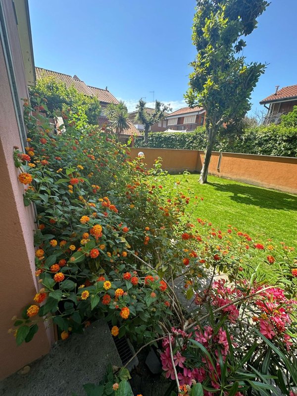 casa indipendente in affitto a Fiumicino in zona Fregene