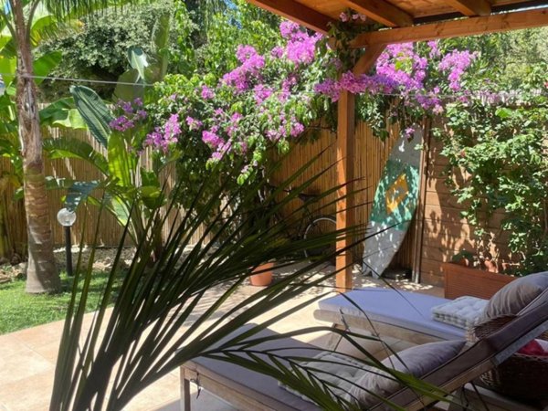 appartamento in affitto a Fiumicino in zona Fregene