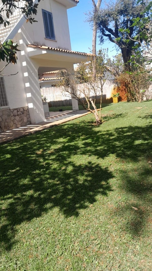 casa indipendente in affitto a Fiumicino