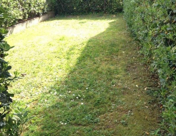 appartamento in affitto a Fiumicino in zona Fregene