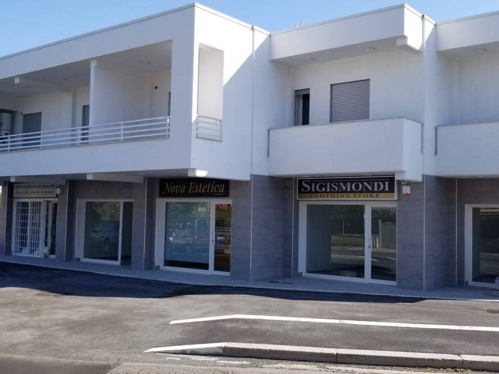 negozio in affitto a Fiumicino in zona Aranova