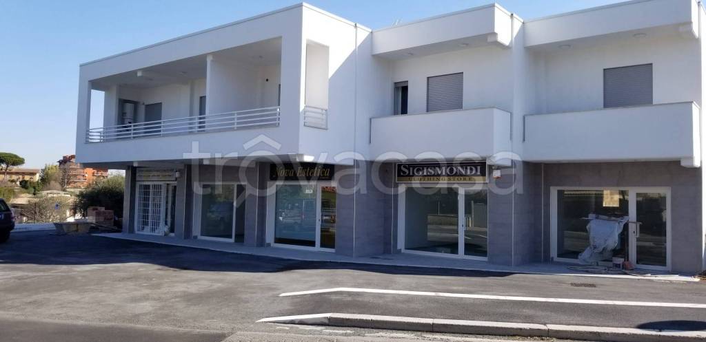negozio in affitto a Fiumicino in zona Aranova