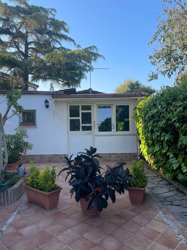 monolocale in affitto a Fiumicino in zona Isola Sacra