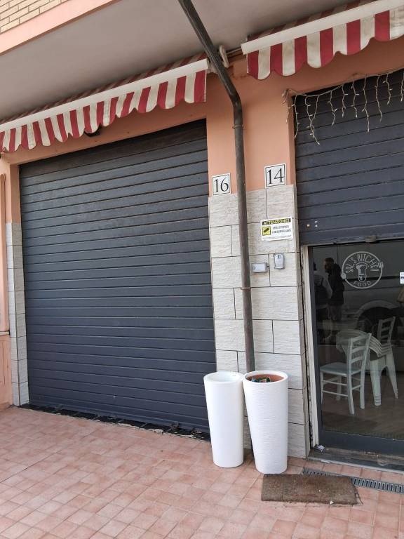 negozio in affitto a Fiumicino in zona Isola Sacra