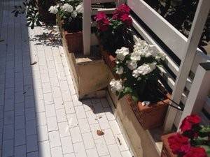 appartamento in affitto a Fiumicino in zona Fregene