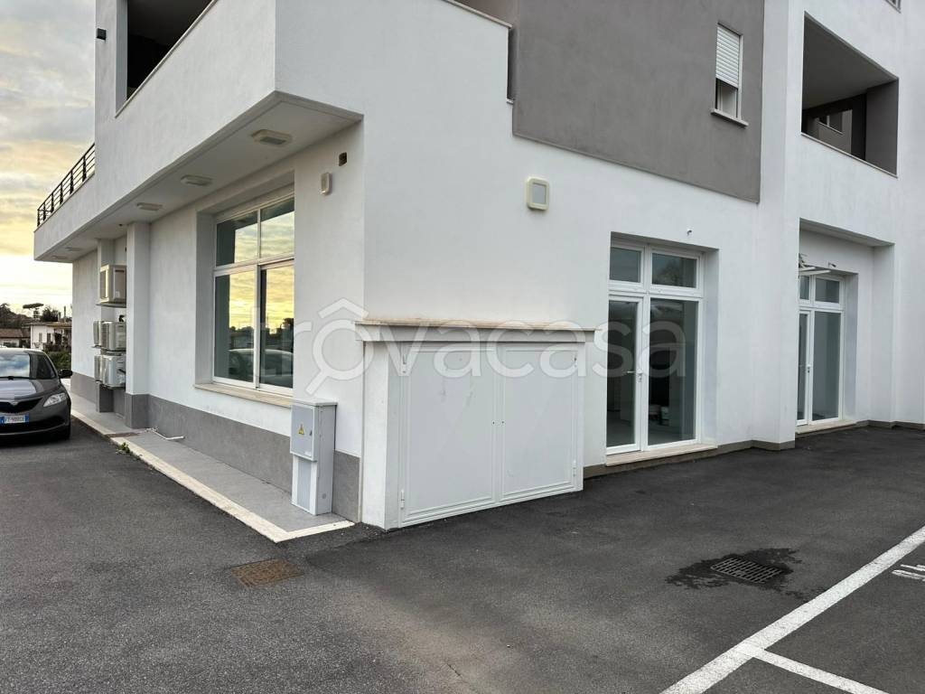 negozio in affitto a Fiumicino in zona Aranova
