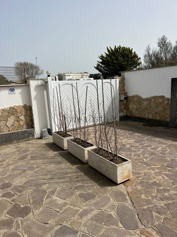 appartamento in affitto a Fiumicino in zona Fregene