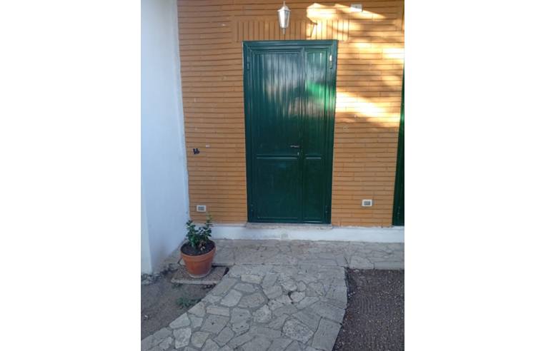 appartamento in affitto a Fiumicino in zona Fregene