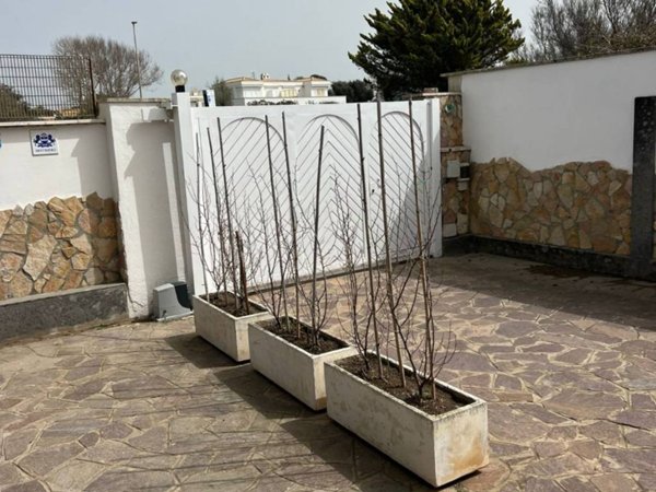 casa indipendente in affitto a Fiumicino in zona Fregene