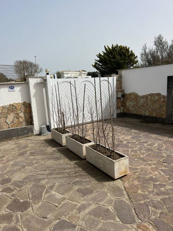 appartamento in affitto a Fiumicino in zona Fregene