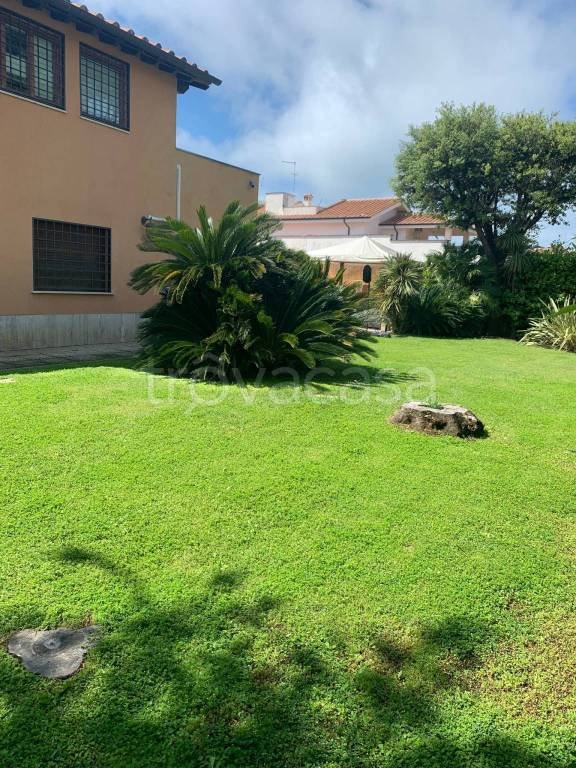 casa indipendente in affitto a Fiumicino in zona Fregene
