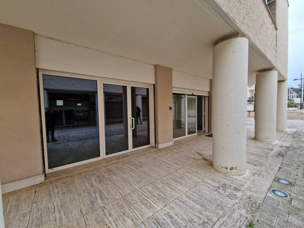 negozio in affitto a Fiumicino in zona Fregene