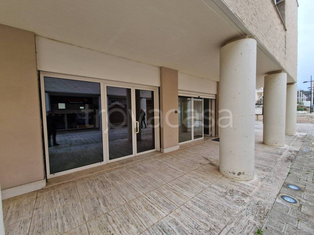 negozio in affitto a Fiumicino in zona Fregene