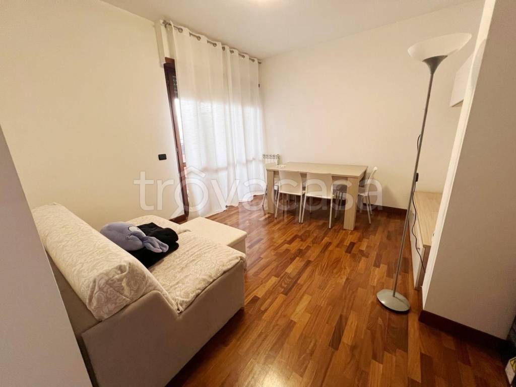 appartamento in affitto a Fiumicino