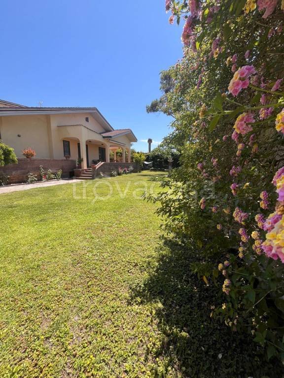 casa indipendente in affitto a Fiumicino in zona Fregene