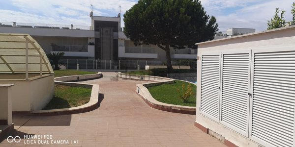 appartamento in affitto a Fiumicino in zona Fregene