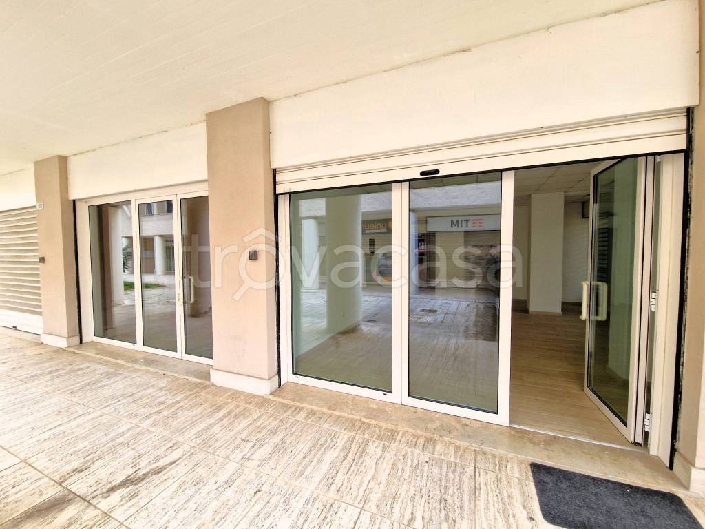 negozio in affitto a Fiumicino in zona Fregene