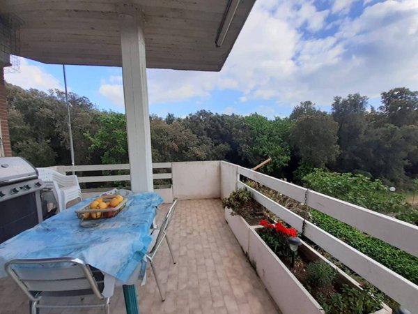 appartamento in affitto a Fiumicino in zona Fregene