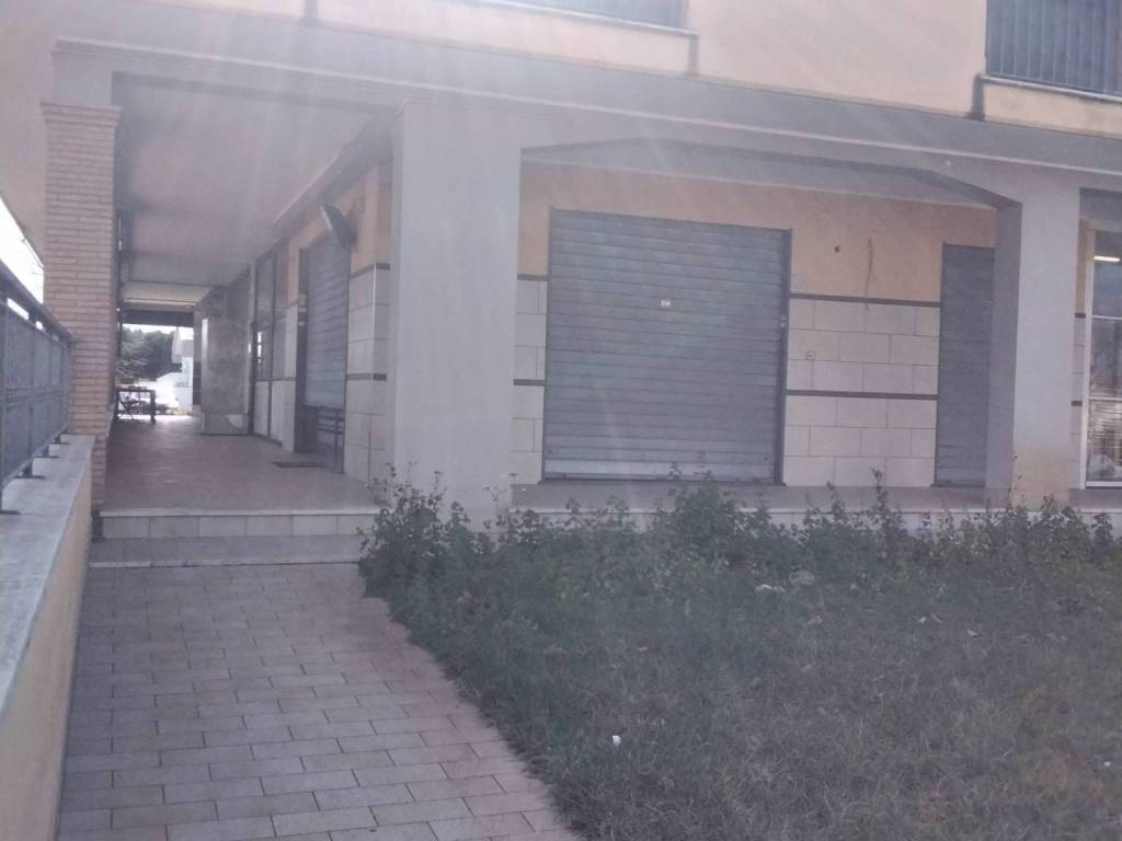 negozio in affitto a Fiumicino in zona Focene