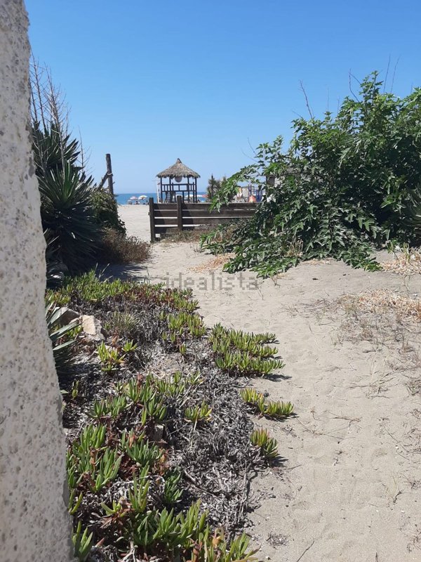 casa indipendente in affitto a Fiumicino in zona Fregene