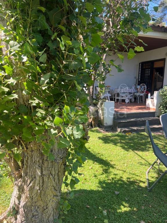 casa indipendente in affitto a Fiumicino in zona Fregene