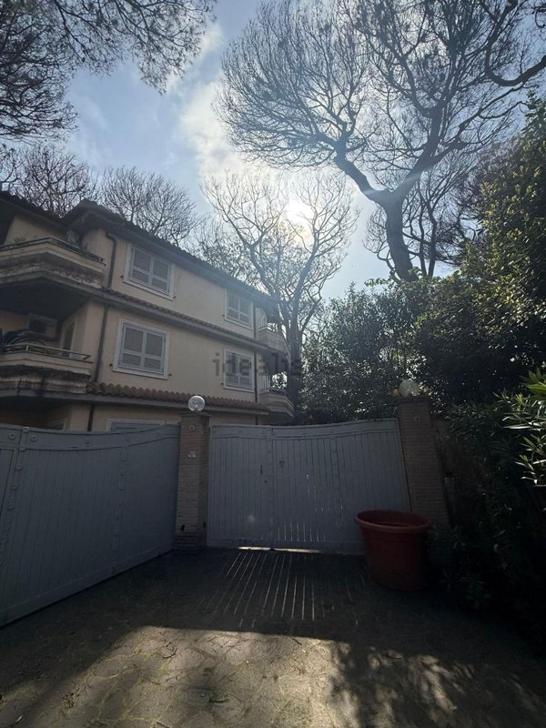 casa indipendente in affitto a Fiumicino in zona Fregene