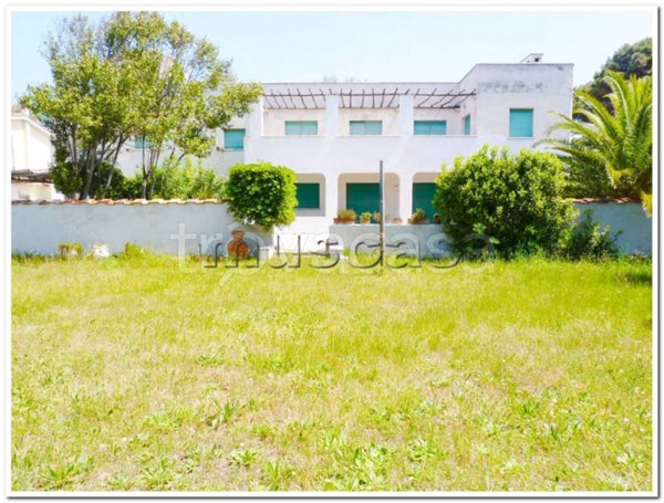 appartamento in affitto a Fiumicino in zona Fregene