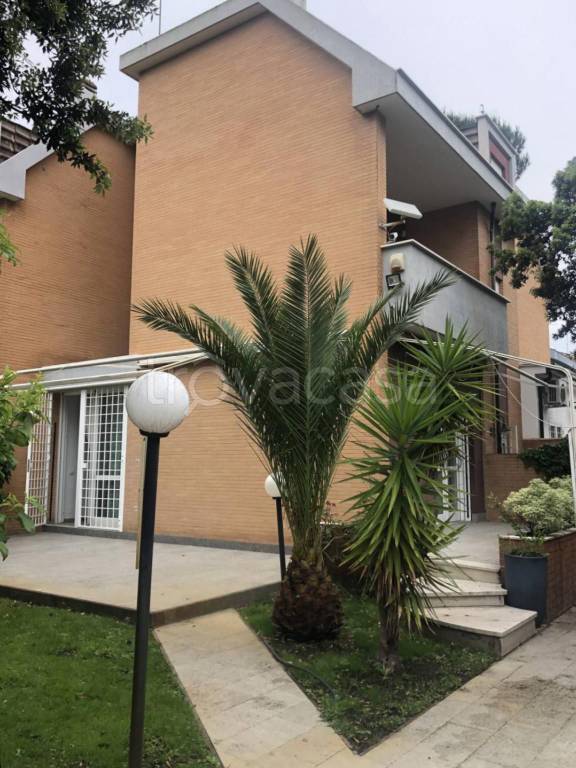 casa indipendente in affitto a Fiumicino in zona Fregene