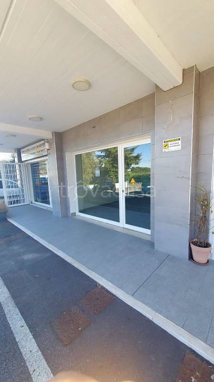 negozio in affitto a Fiumicino in zona Aranova