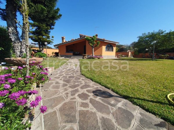 casa indipendente in affitto a Fiumicino in zona Fregene