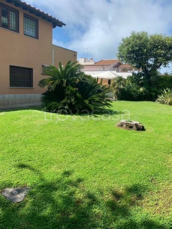 casa indipendente in affitto a Fiumicino in zona Fregene
