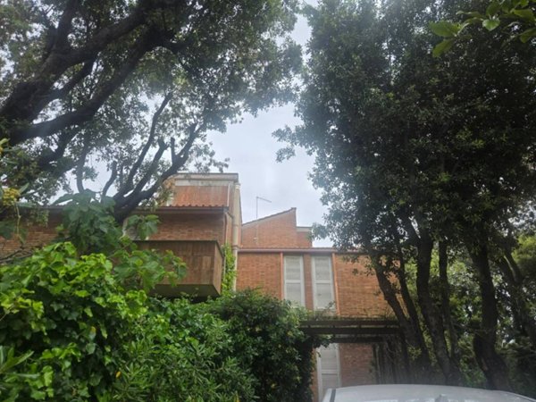 casa indipendente in affitto a Fiumicino in zona Maccarese