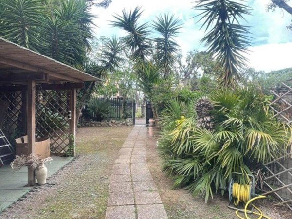 casa indipendente in affitto a Fiumicino in zona Fregene