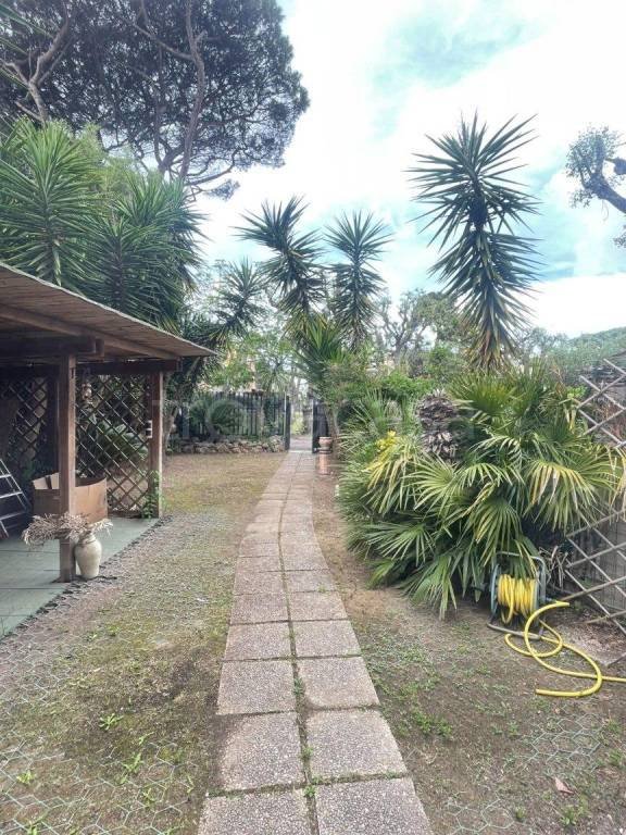 casa indipendente in affitto a Fiumicino in zona Fregene